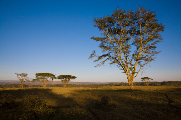 Scenery, Lake Nakuru